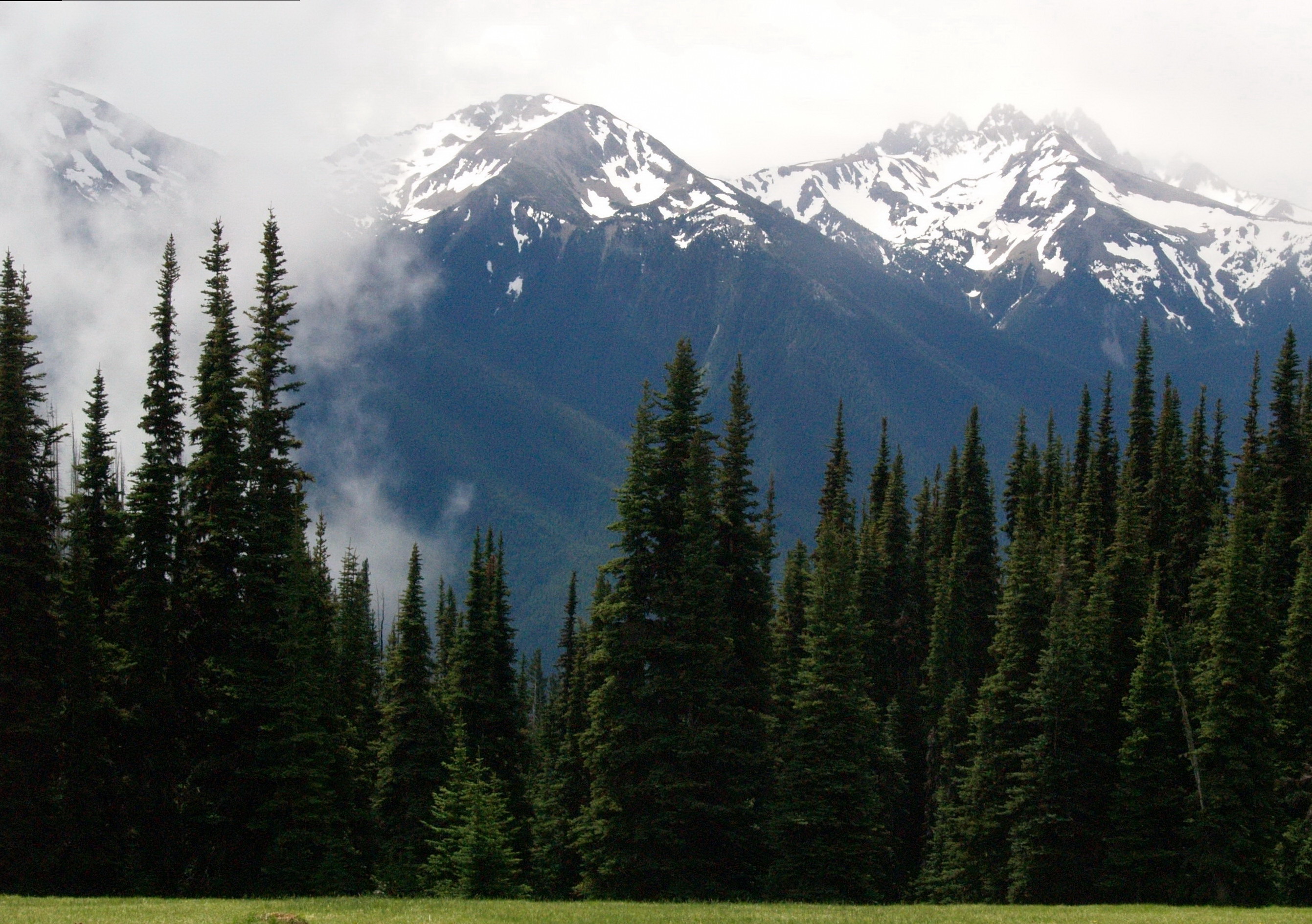 Olympic Peninsula Craigslist: Local Listings You Won'T Find Anywhere Else - wf8rcm9
