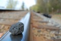 Why Coal?
