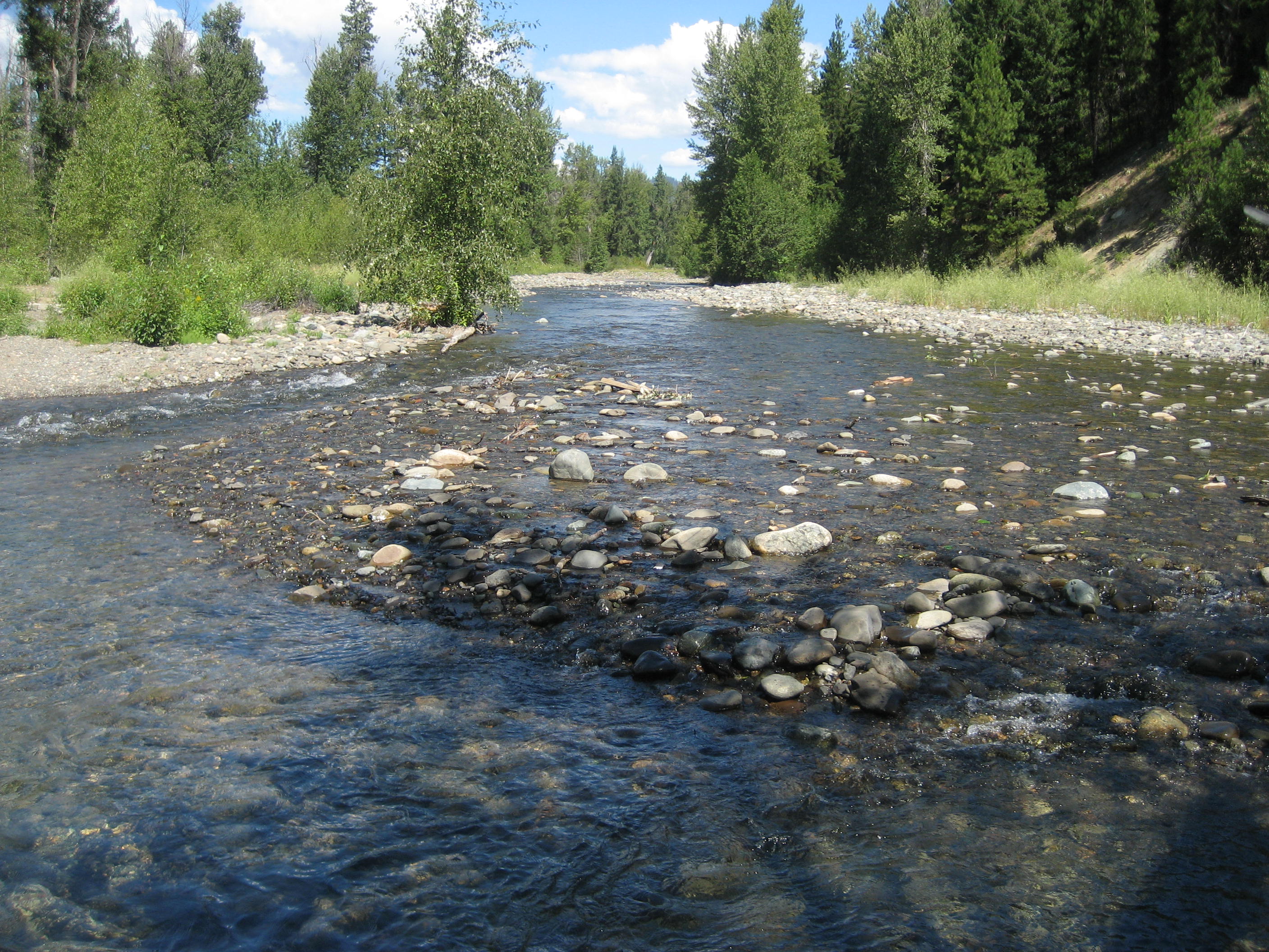 River Watch-The Teanaway — Read The Dirt